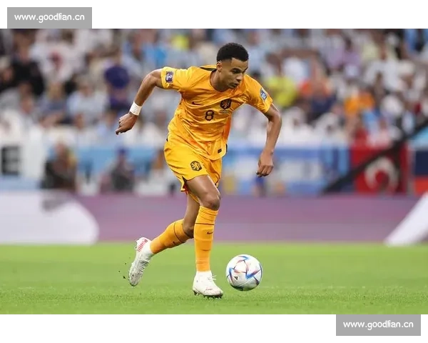 热门买球app软件下载指南畅享安全便捷的体育赛事投注体验